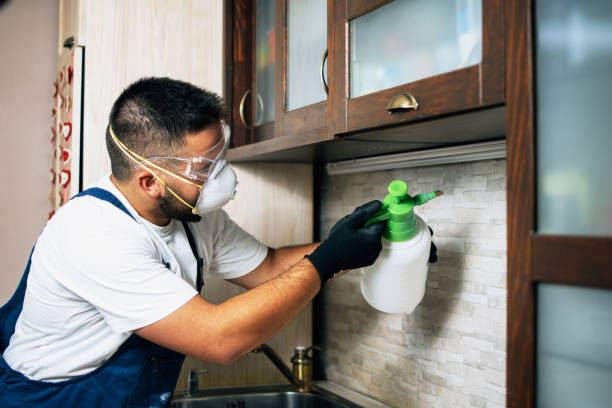 Best Bed Bug Extermination  in Clintwood, VA