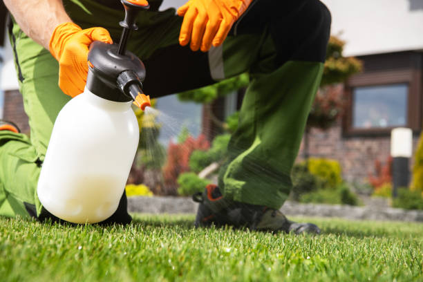  Clintwood, VA Pest Control Pros