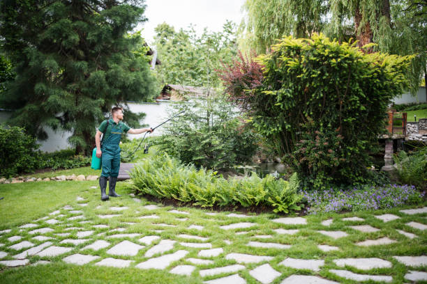 Best Local Pest Control Services  in Clintwood, VA