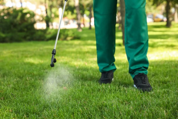 Best Cockroach Control Services  in Clintwood, VA