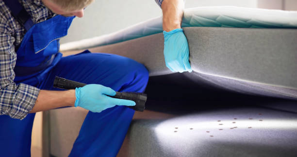 Best Rat Extermination Near Me  in Clintwood, VA