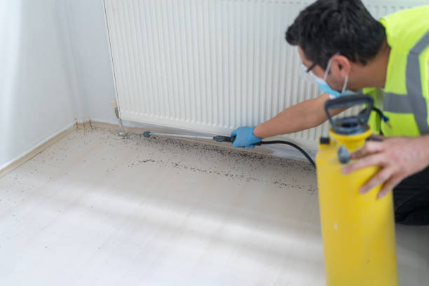 Best Best Pest Control Companies  in Clintwood, VA