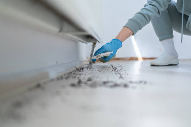 Best Residential Pest Control  in Clintwood, VA