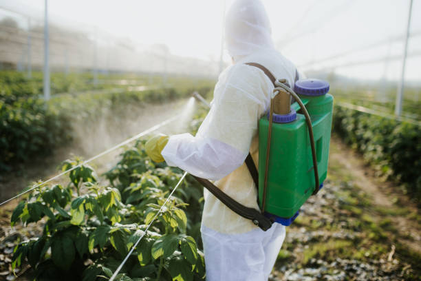 Reliable Clintwood, VA Pest Control Solutions